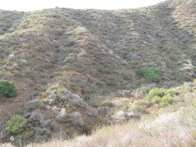 View to the north from the confluence.