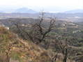 #2: Magnificent view to the southwest from the confluence.