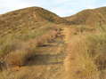 #8: The closest ridgetop trail to the confluence, looking northeast.