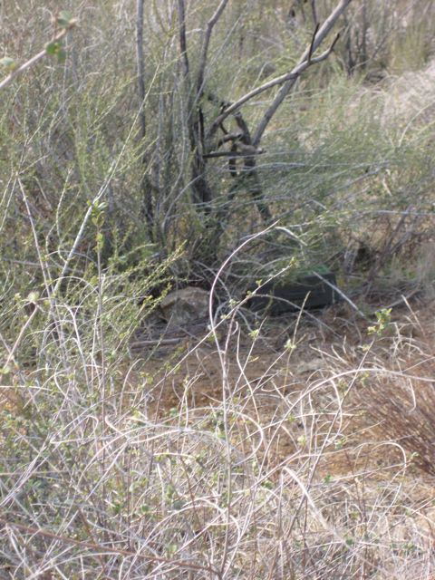 The confluence and the geocache