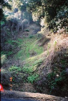 #1: The confluence is somewhere up this overgrown hillside