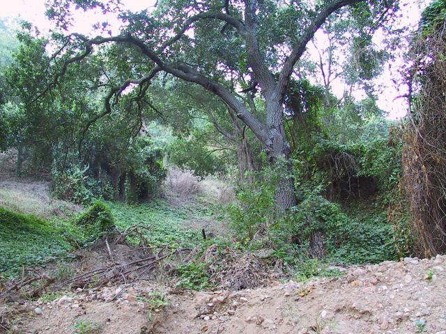 South from the parking area below the confluence.