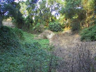 #1: Up the hill toward the confluence.