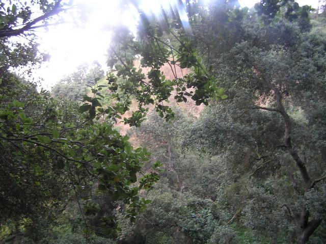 View to the northwest from the confluence.