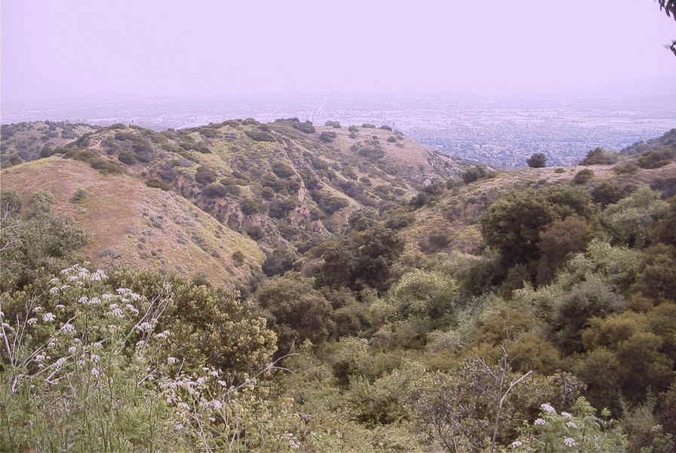 Best shot of the confluence area and view west