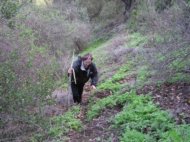 Annie nears the top of the hill