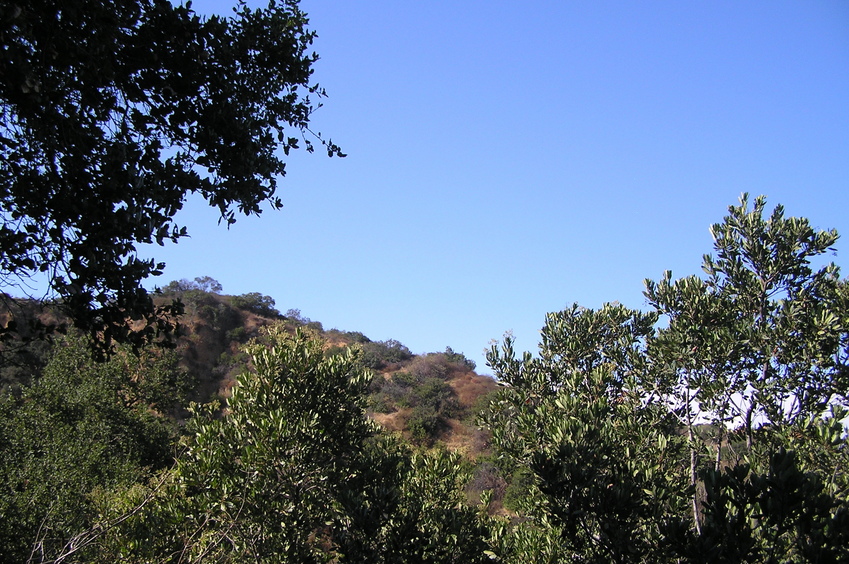 View to the ridge northeast from the confluence.