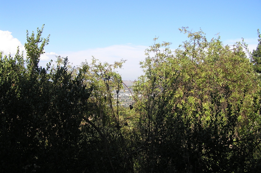 View to the northeast from the confluence. 