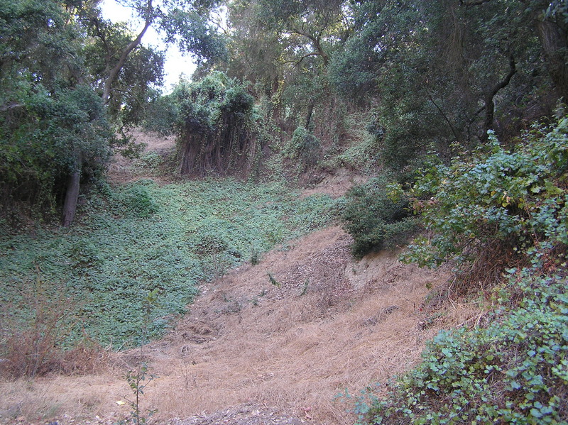 The short but very difficult ascent to the confluence point.