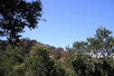 #3: View to the ridge northeast from the confluence.