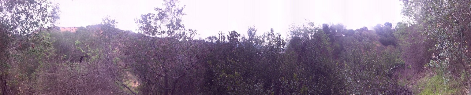 Panorama from the confluence, looking east.