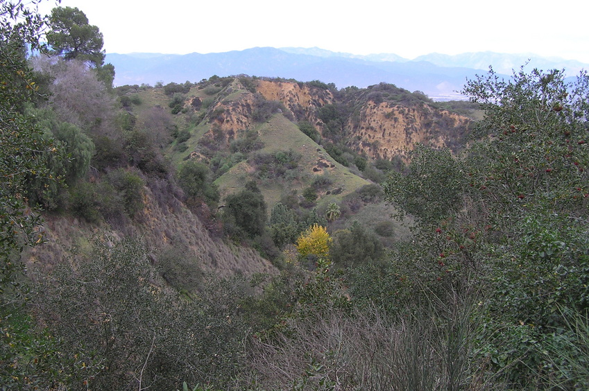 View from above and 300 m south of the confluence, looking north.