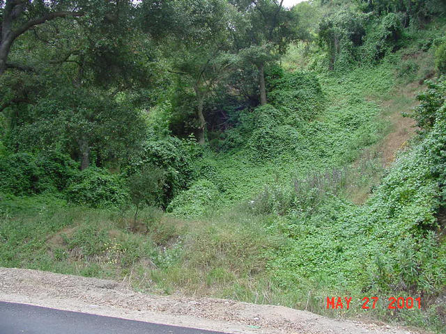 Canyon below confluence, Athel Drive