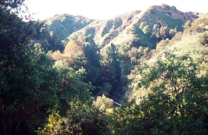 Looking up Oak Canyon with Oak Canyon Drive below.