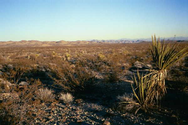 Another view from the confluence point.