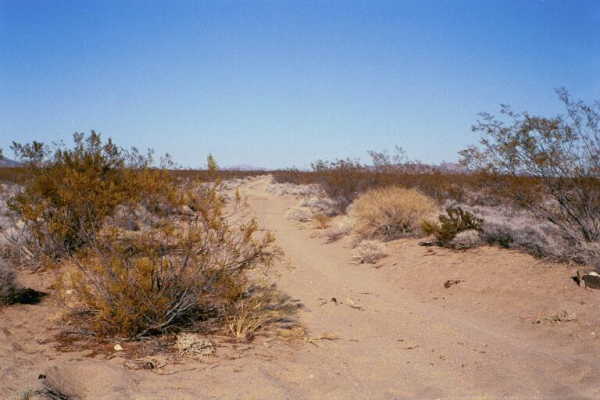 The start of the dirt road near Goffs, 6.5 miles from the
confluence.