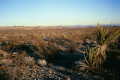 #3: Another view from the confluence point.