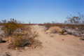 #5: The start of the dirt road near Goffs, 6.5 miles from the
confluence.