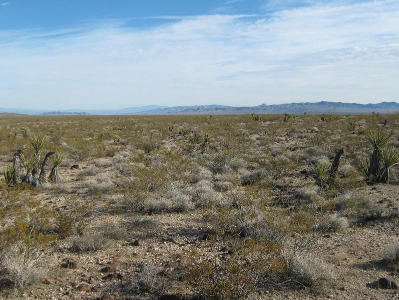 East view: Sacramento Mountains, with Hualapai Mountain (AZ) way in the background