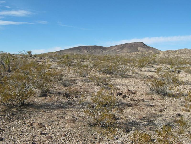 West view (slightly north of west): Vontrigger Mountains