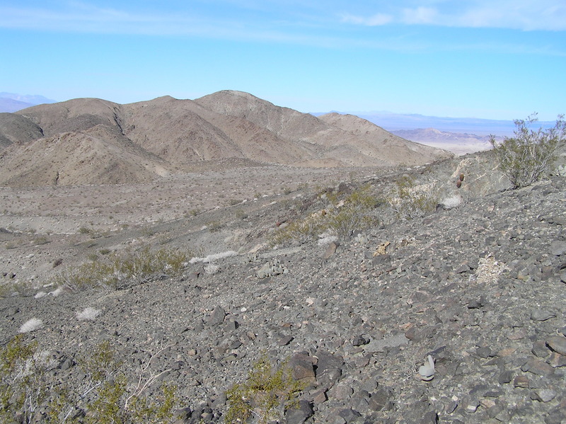 View to the north from the confluence.