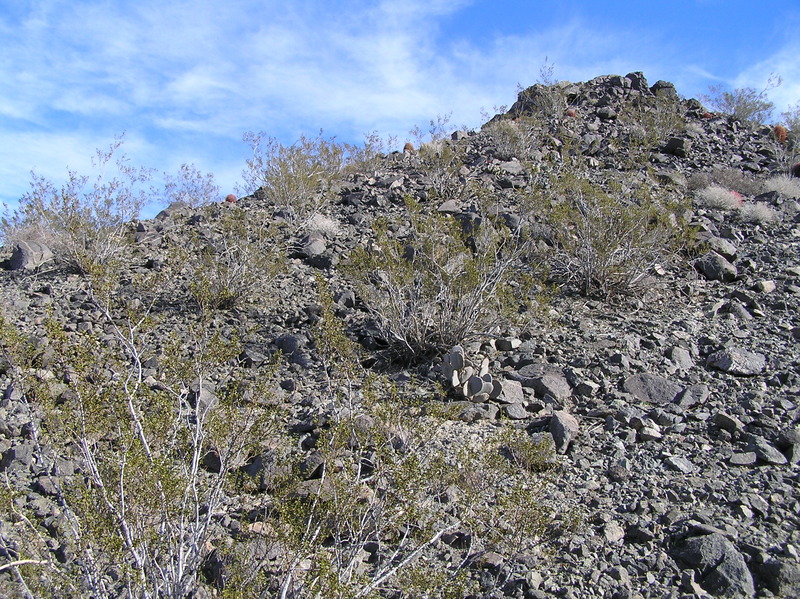 View to the east from the confluence.