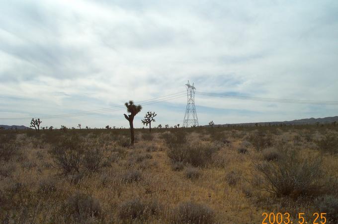 Looking west towards the powerlines