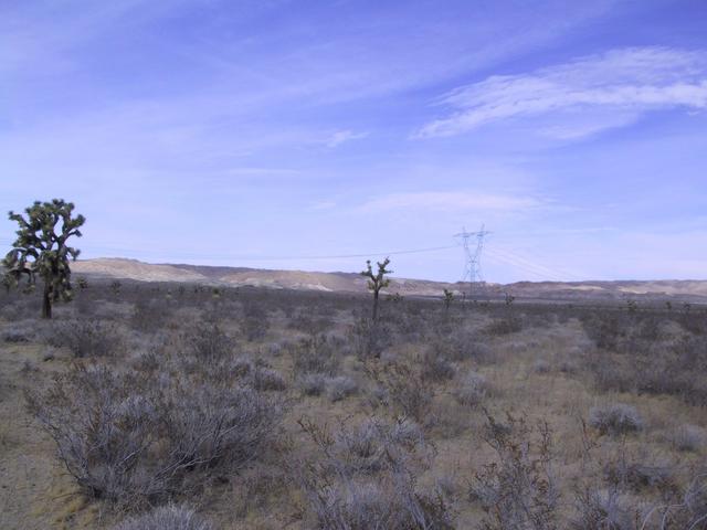 Looking North from Confluence