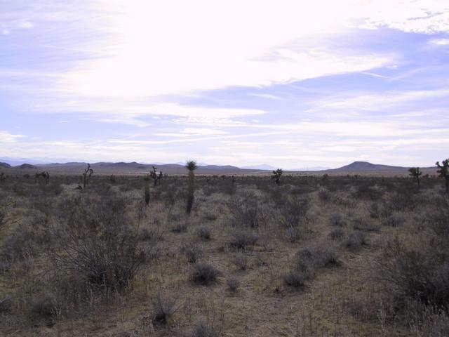 Looking South from Confluence