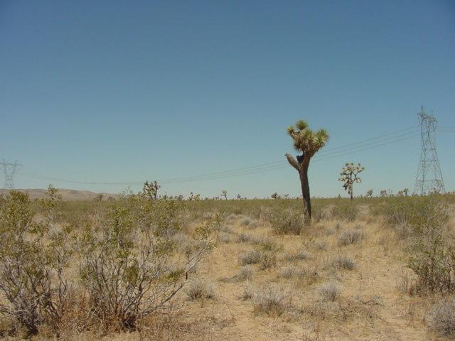 West of the confluence is Rainbow Basin