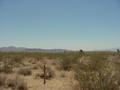 #3: East toward the Calico Mountains