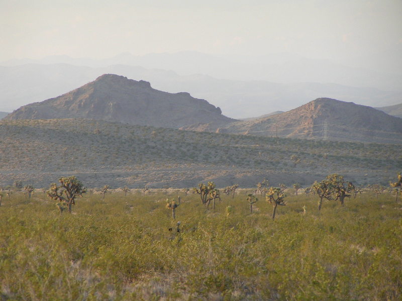 View to the southeast from the confluence.