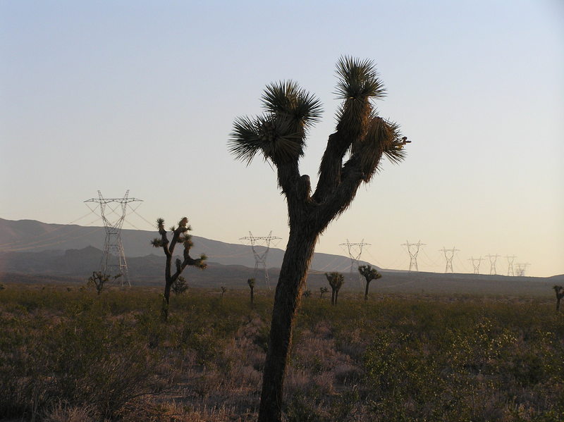 View to the north from the confluence.