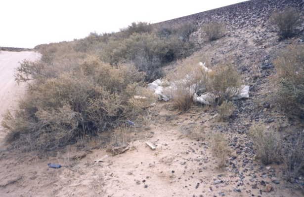 Garbage detracting from the beauty of the landscape