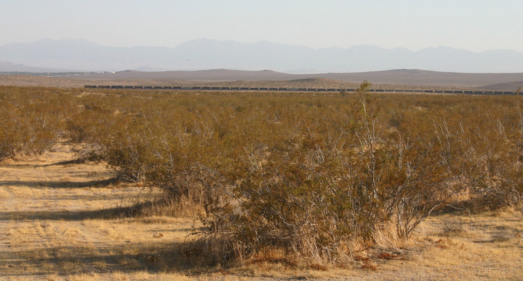 A freight train heading easterly on the tracks to the south of the Confluence.