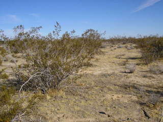 #1: the area near the confluence