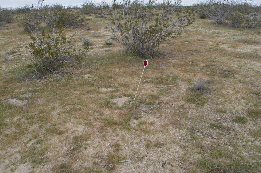 This plastic marker (left by a previous visitor) marks the confluence point