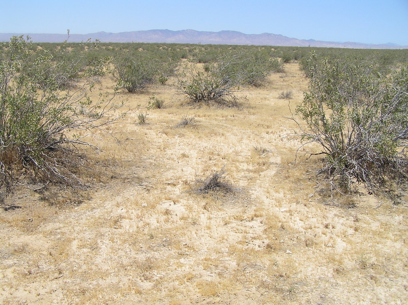 The confluence point, in the foreground at the base of the photograph, looking slightly north of west.