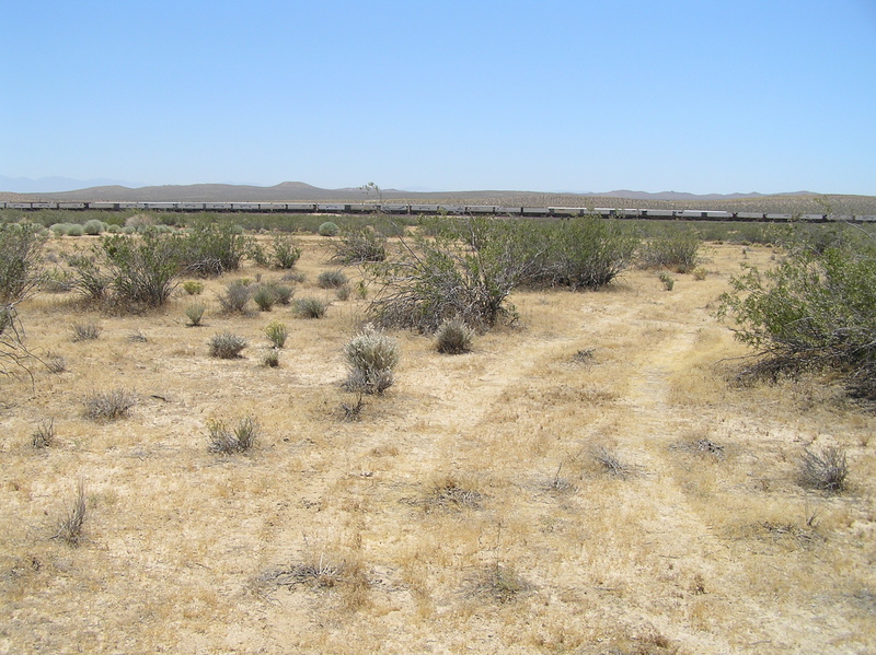 View to the south from the confluence with the train in the distance.