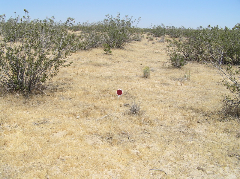 View to the northeast from the confluence.  Someone had placed a marker here a short distance from where I had located the confluence.