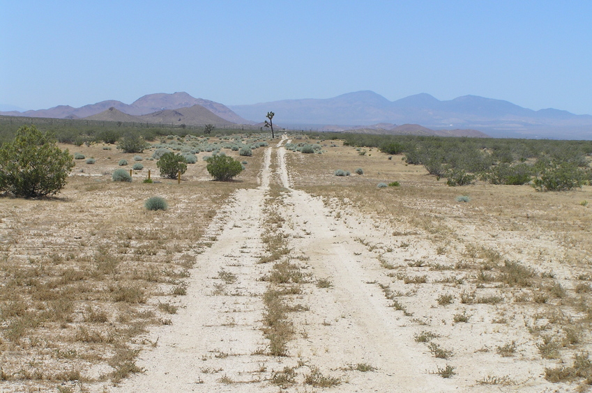 I love this photo:  View to the southwest, 50 meters south of the confluence.  I did not drive on this road.