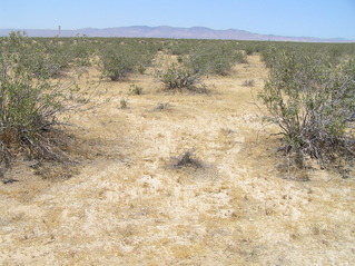 #1: The confluence point, in the foreground at the base of the photograph, looking slightly north of west.