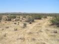 #3: View to the south from the confluence with the train in the distance.