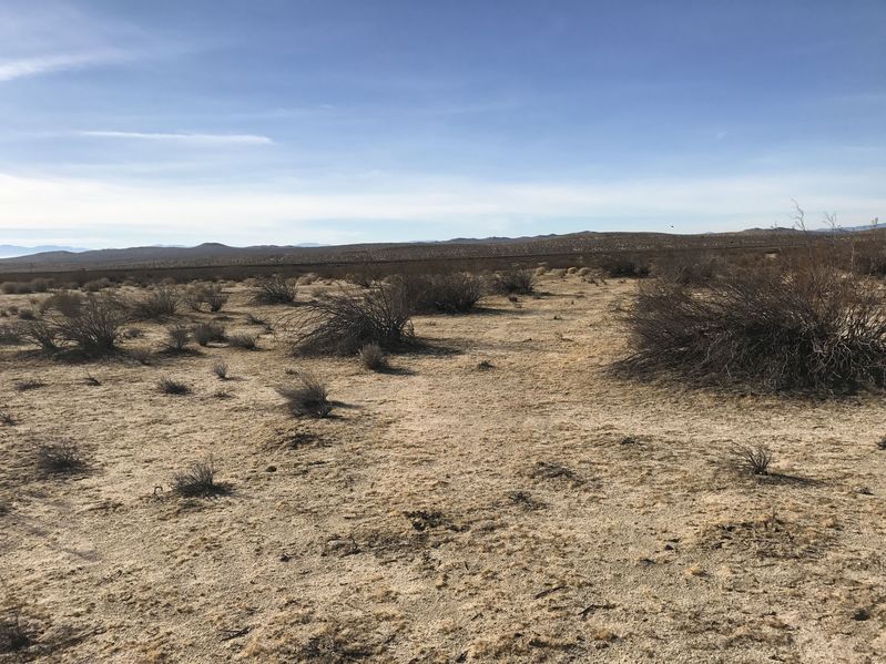 Looking south from the confluence point.