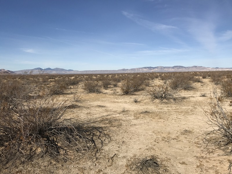 Looking west from the confluence point.