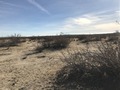 #3: Looking east from the confluence point.