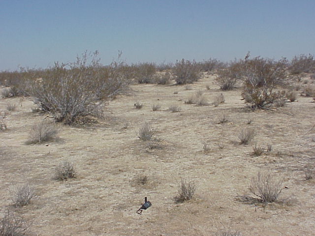 Photo of confluence looking North