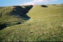 #6: Looking up the hillside towards the confluence point, from near the USGS marker