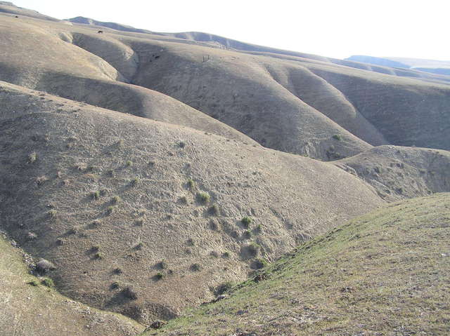 View to the east across the steep ravine from the confluence.