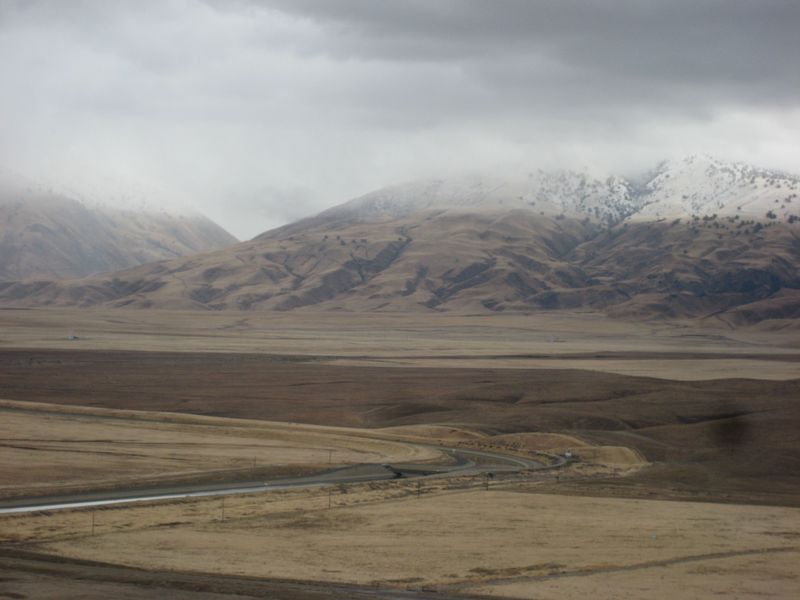 Looking back at the GrapeVine